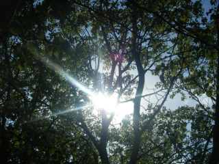 DSCF4210.jpg
