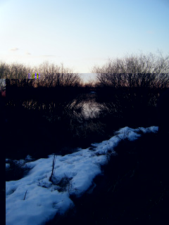 DSCF3904.jpg