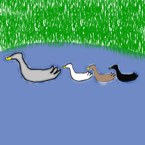 Geese.jpg