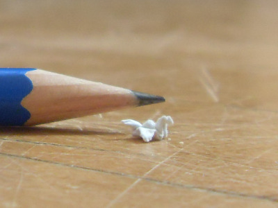 544.jpg