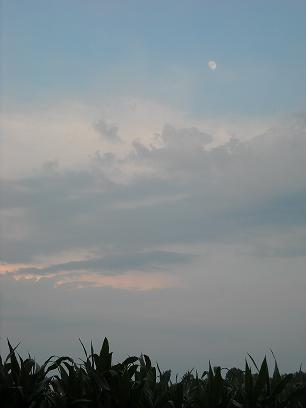 DSCN2090.jpg