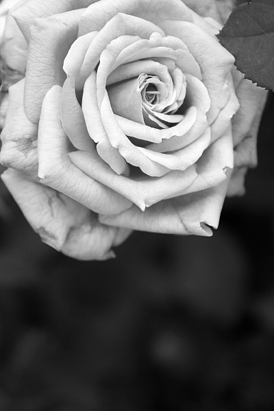 photos from new camera 2 124.jpg