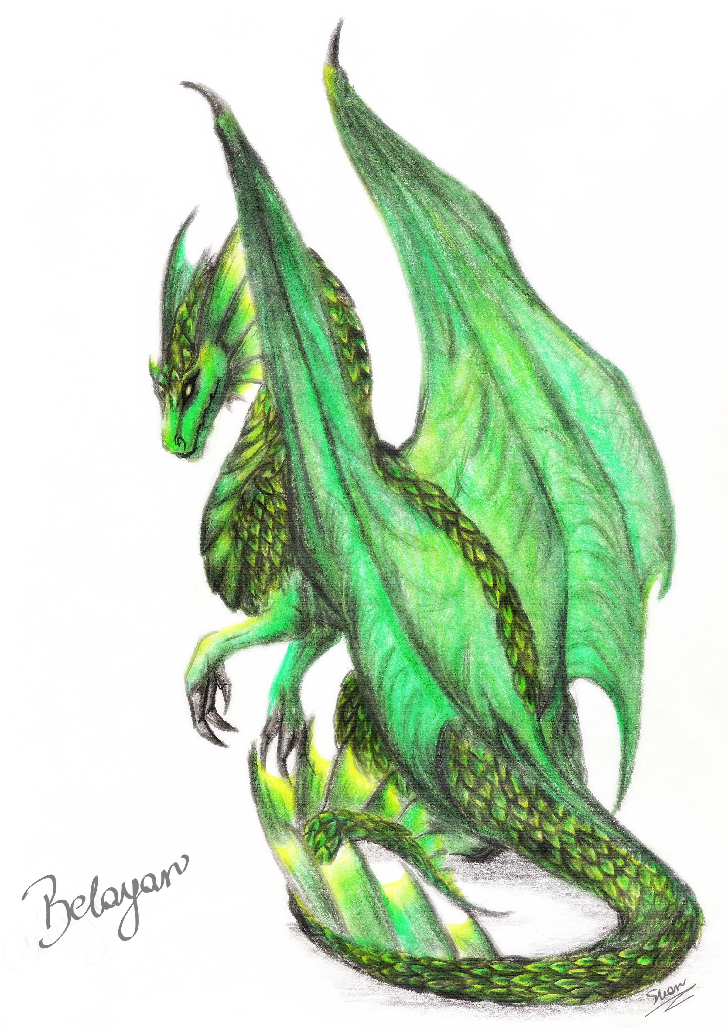 Belayar___Green_Dragon_by_shar_vampire.jpg