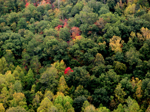Big_South_Overlook_4 9-27-2008 3-20-30 PM.JPG