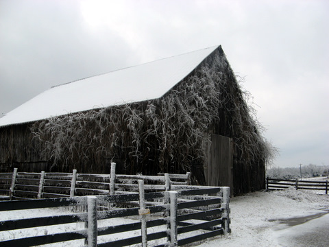 Frozen_Barn_1 1-28-2009 1-14-27 PM.JPG