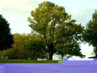 Photos 001.jpg