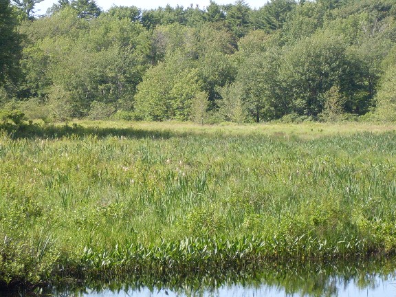 Photos 007.jpg
