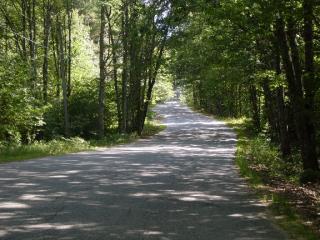 Photos 001.jpg