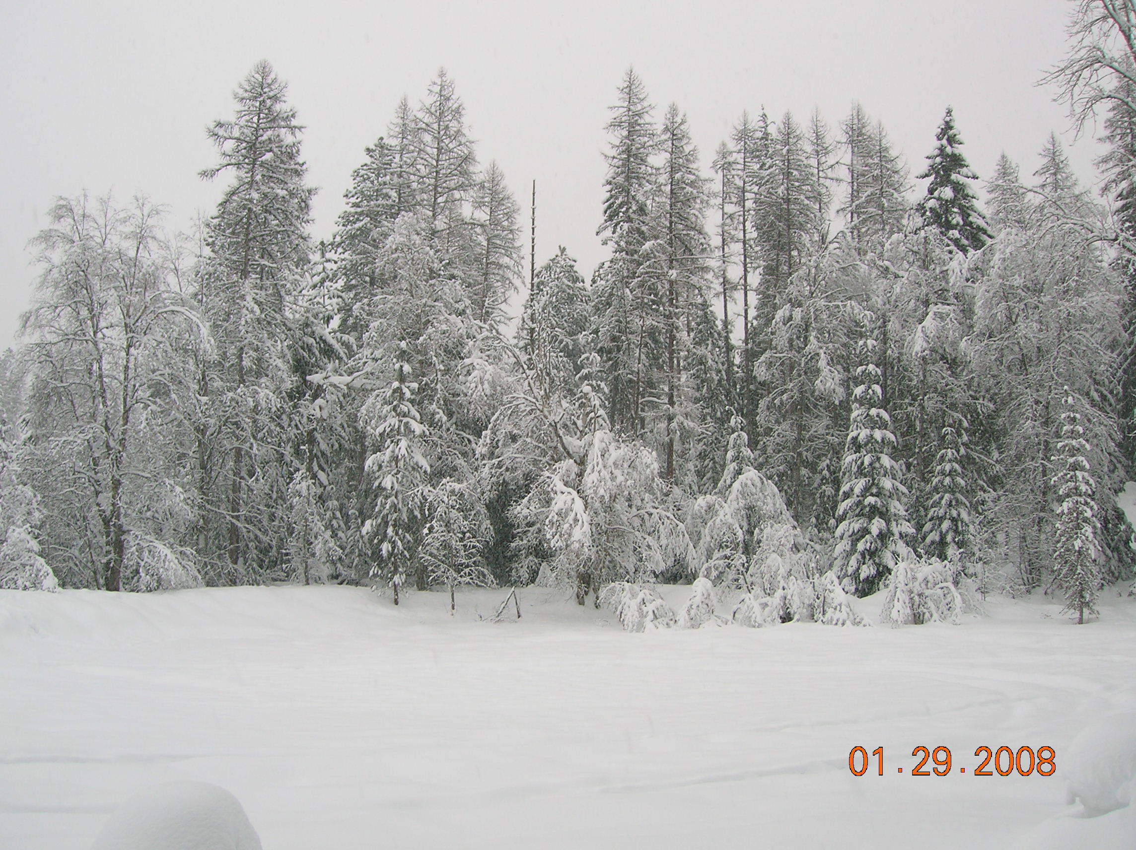 DSCN4556.JPG