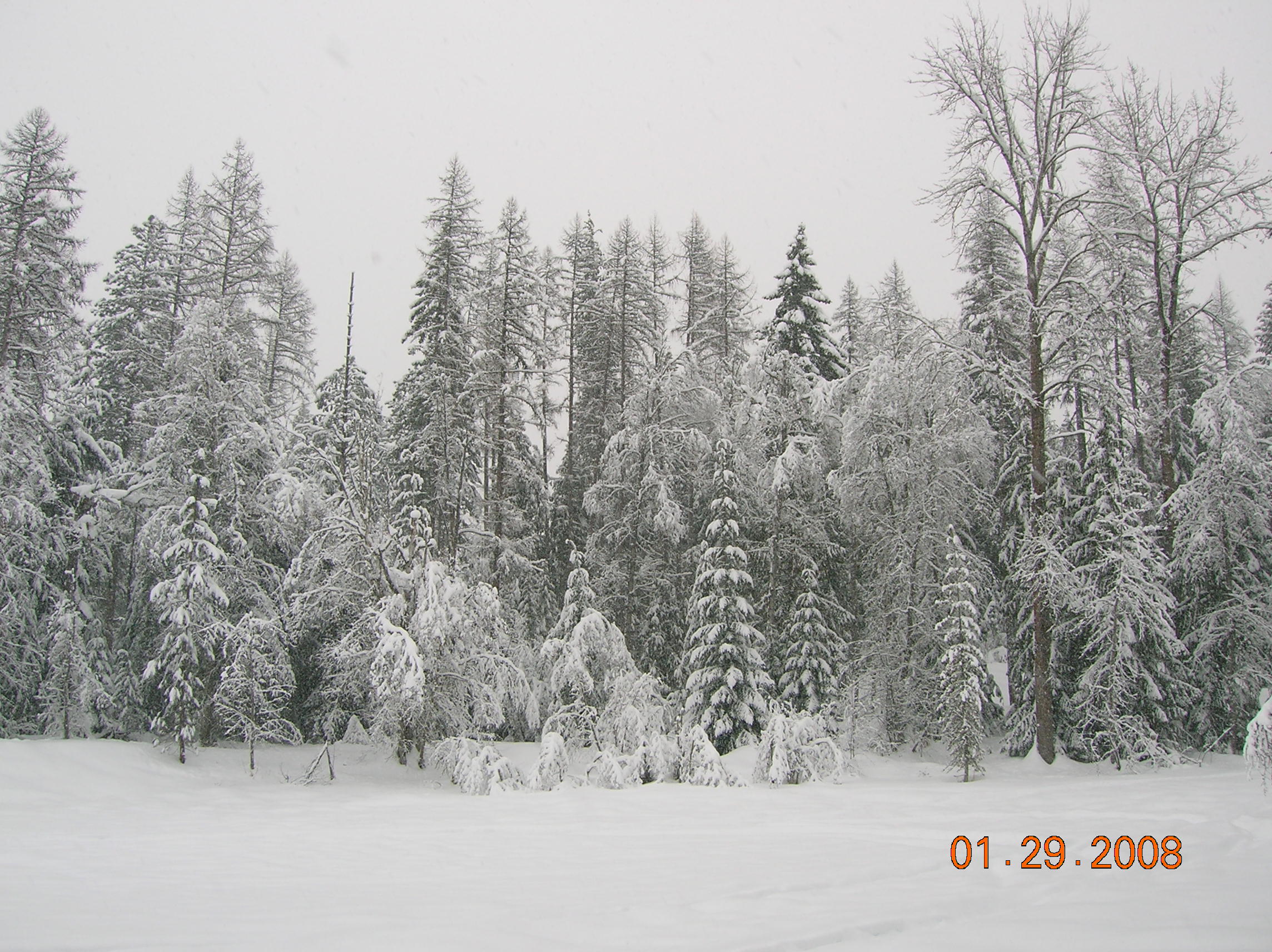 DSCN4557.JPG