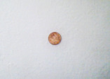 coin.jpg