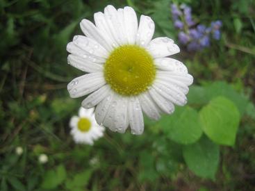IMG_0122.jpg