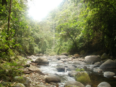 rsz_p8140299.jpg