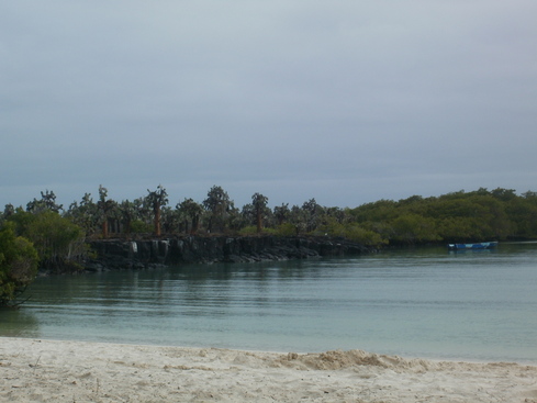 rsz_p8210434.jpg