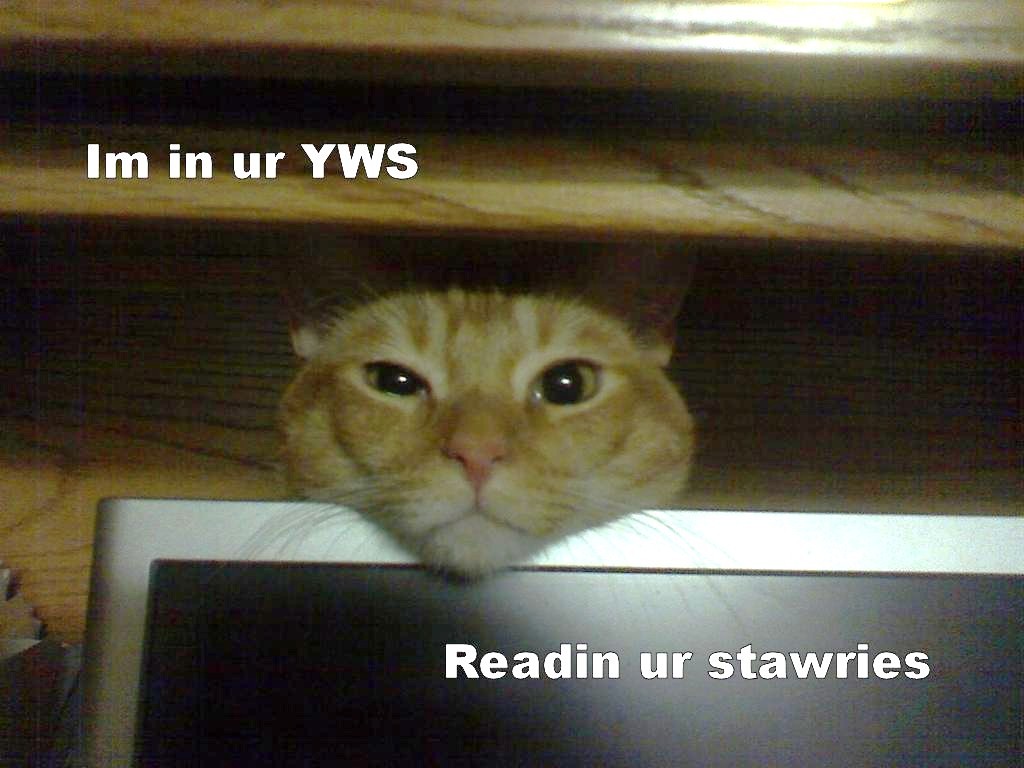 lolcatz.jpg