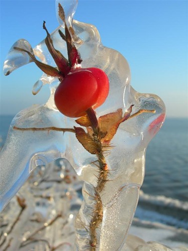 0_ec0_2845beff_L.jpg