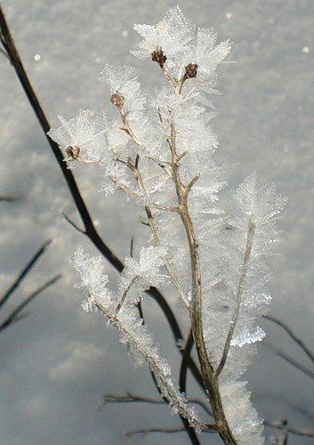 0_36df8_e141724f_L.jpg
