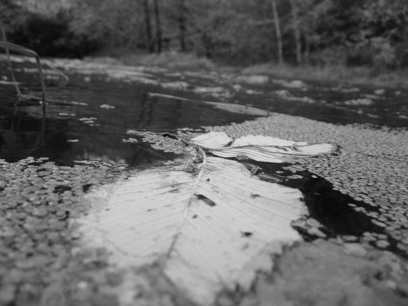 river.jpg