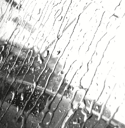 Rain.jpg