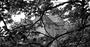 Chateau_B&W.jpg