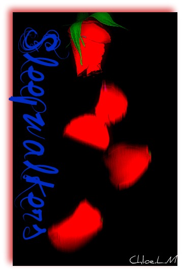 Falling_petals_by_Nolore.jpg