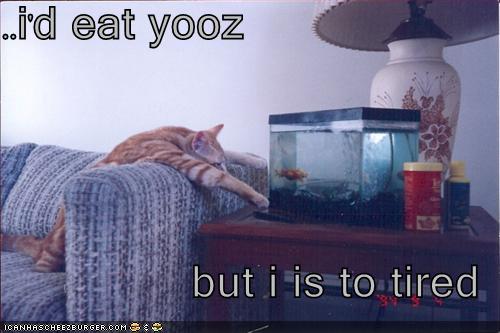 128347989344218750ideatyooz.jpg