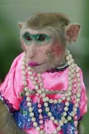 monkey.jpeg