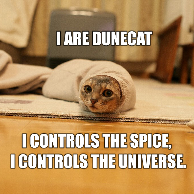 iaredunecat.jpg