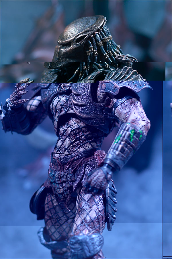 mm6_predator_photo_01_dp.jpg