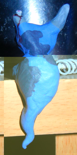 DSCN4117.jpg