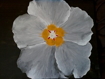 flower.jpg