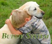 Buddy Up