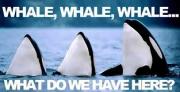 That\'s Punny!
