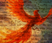 The Order of the Storybook