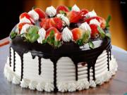 Cake Lovers