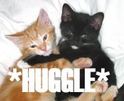 Huggles Society