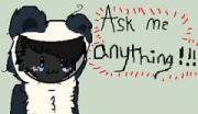 Ask Panda