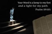 Daily Devotions