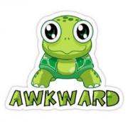Awkward Turtles