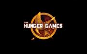 "The Hunger Games' Sequel"