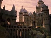 Harry Potter Club