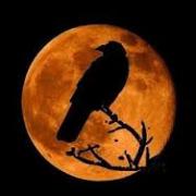 Reviewing Ravens