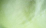 Team Green