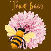 Team Bees