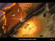Warrior Cats Fan Club