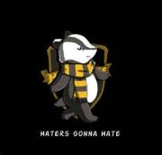 Hufflepuff House Pride