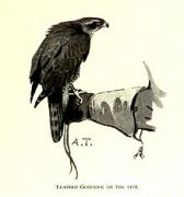 Hawkland