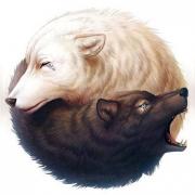 The Wolfsbane Chronicles