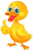 DUCKS