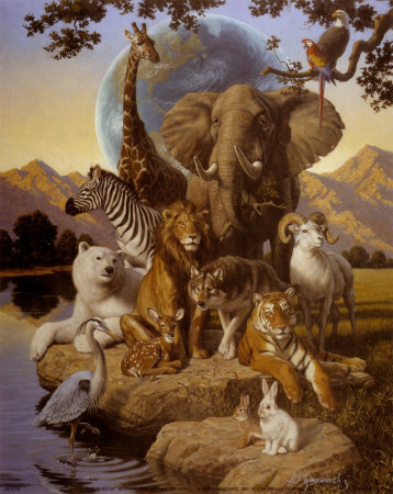 Animals and Environments